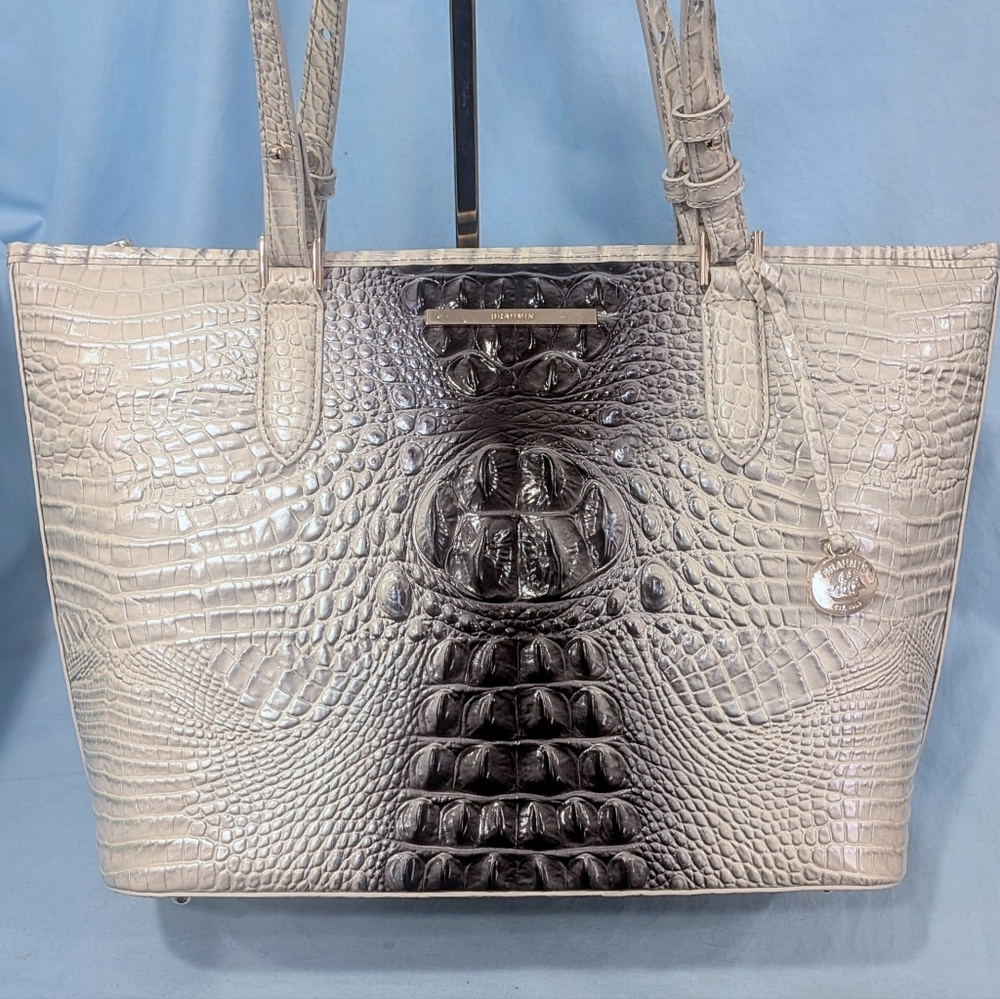 NWT Brahmin Medium Asher in Everlasting Ombre